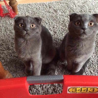 Molly und Momo Molly und Momo